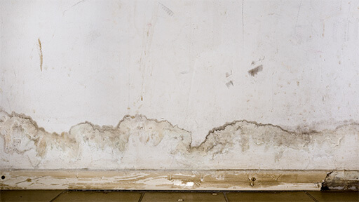 Your Trusted Experts for Plumbing Leaks in Your Home in Brentwood